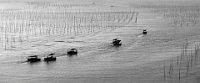 128 - TO PUT OUT TO SEA - MO ZHIGANG - china <div